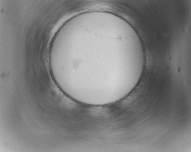 X0000051911478200507082017