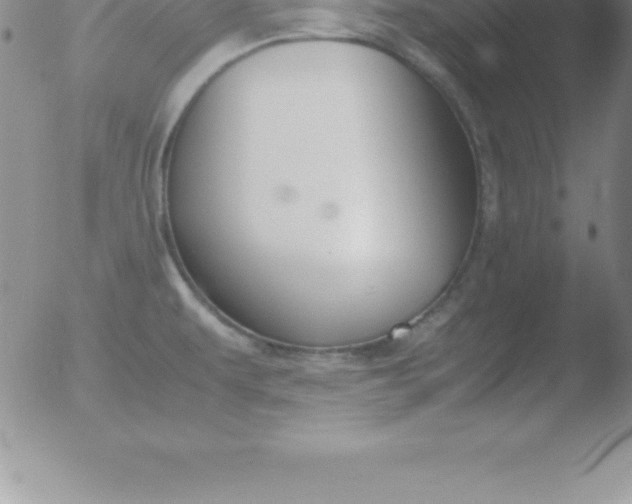 X0000051911479200507082017