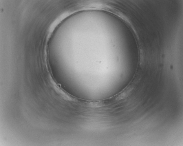 X0000051911480200507082017