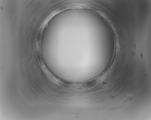 X0000051911481200507082017