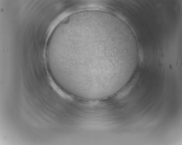 X0000051911482200507082017