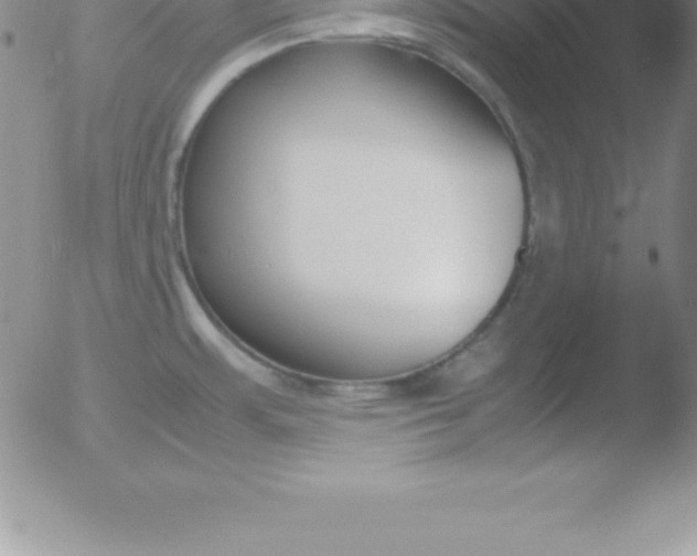 X0000051911483200507082017