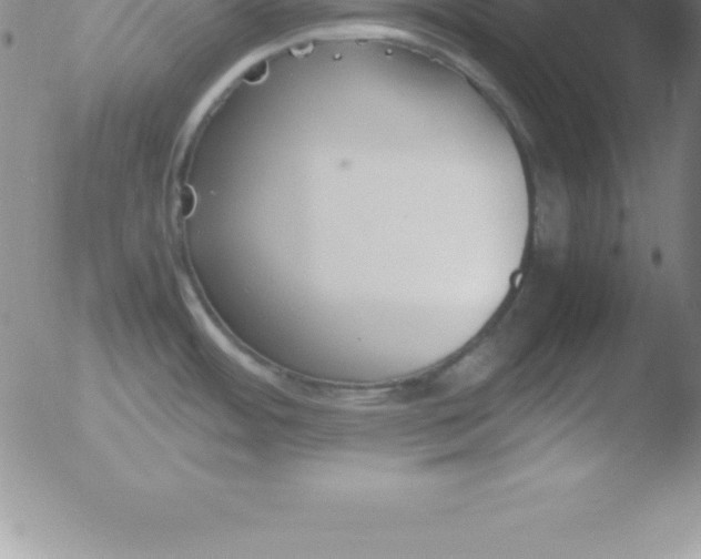 X0000051911484200507082017