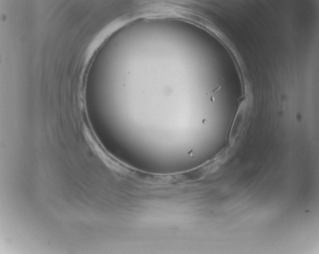 X0000051911485200507082017