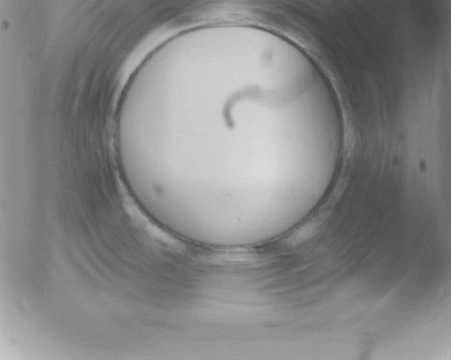 X0000051911486200507082017