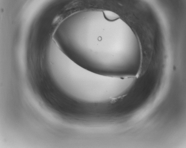 X0000051911487200507082017