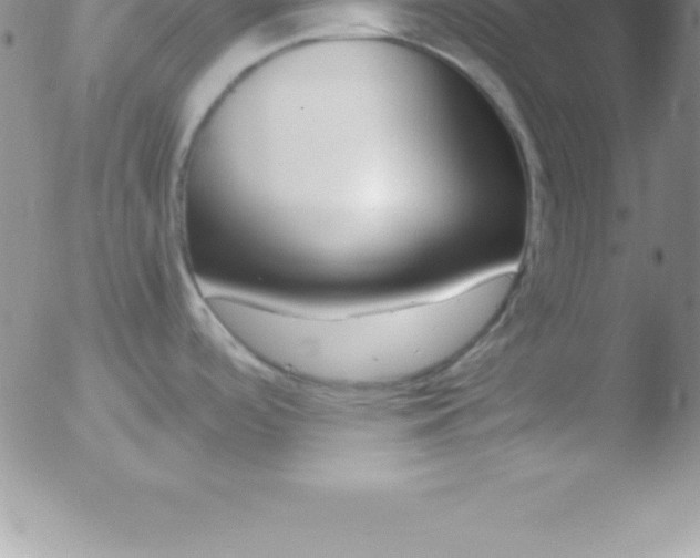 X0000051911488200507082017