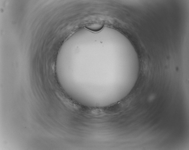 X0000051911489200507082016