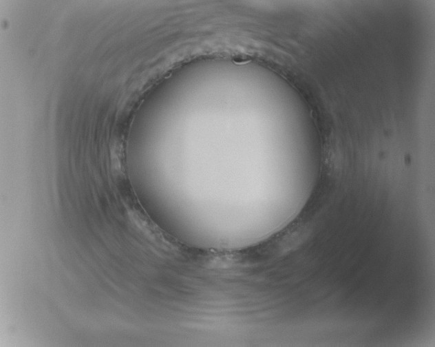 X0000051911490200507082016