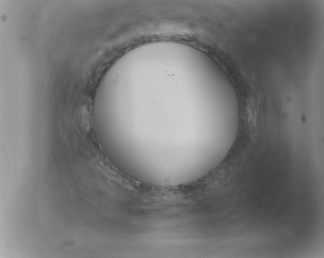 X0000051911493200507082016