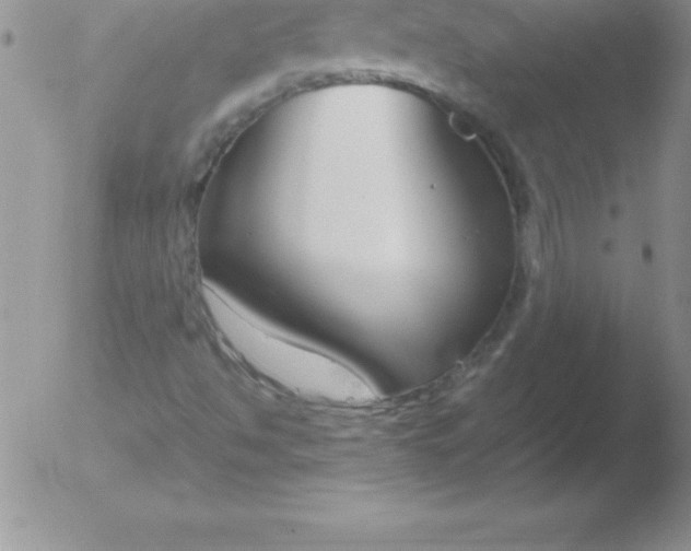 X0000051911494200507082016