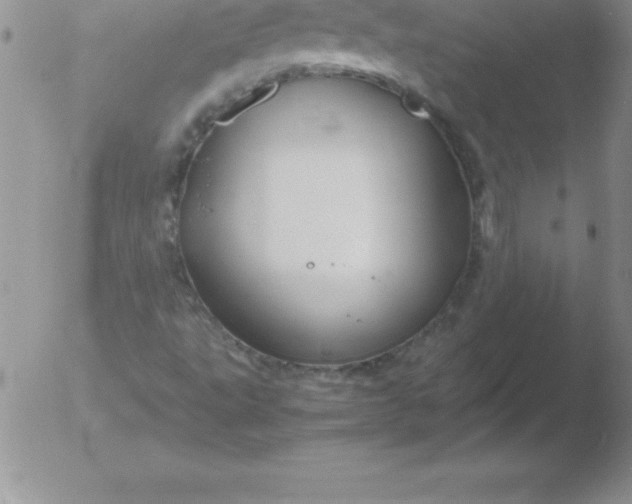 X0000051911495200507082016