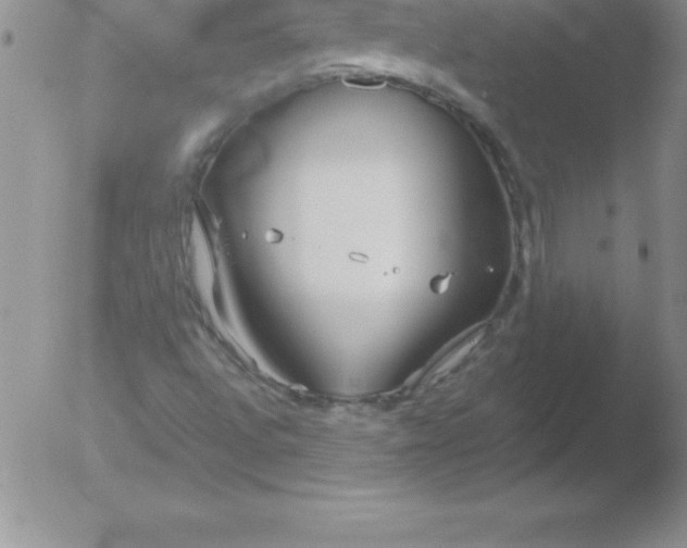 X0000051911496200507082016