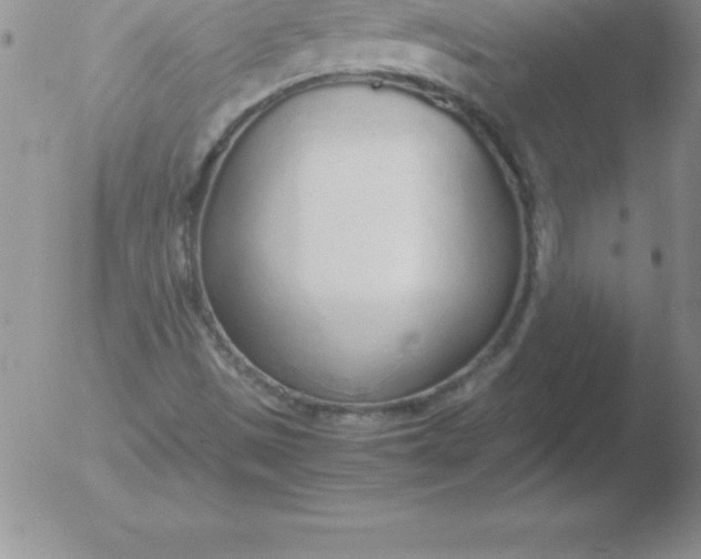 X0000051911497200507082016