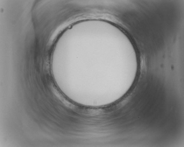 X0000051911498200507082016