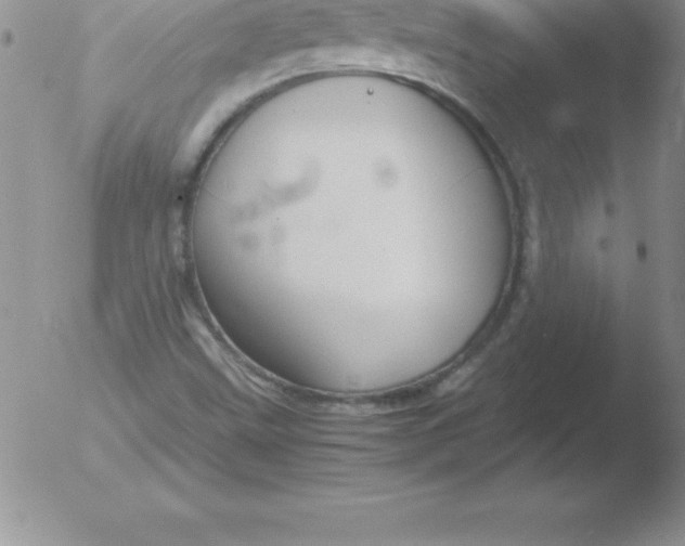 X0000051911499200507082016