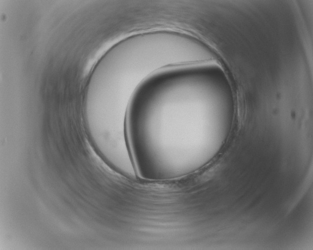 X0000051911500200507082016