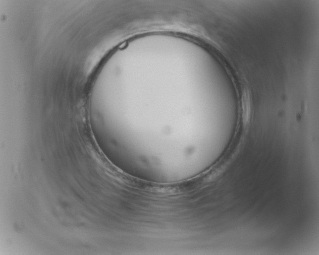 X0000051911501200507082016