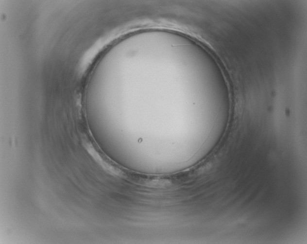 X0000051911503200507082016