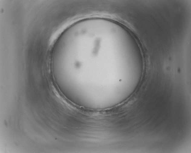 X0000051911504200507082016