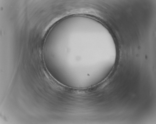 X0000051911505200507082016