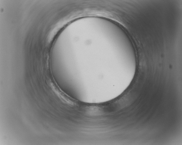 X0000051911507200507082016