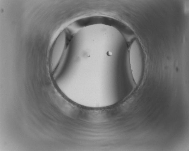 X0000051911508200507082016