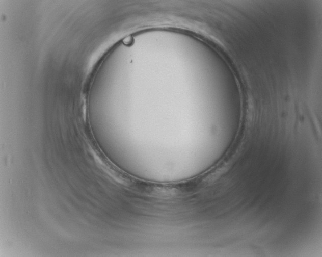 X0000051911509200507082016