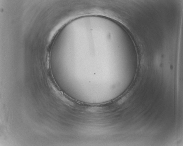 X0000051911510200507082016