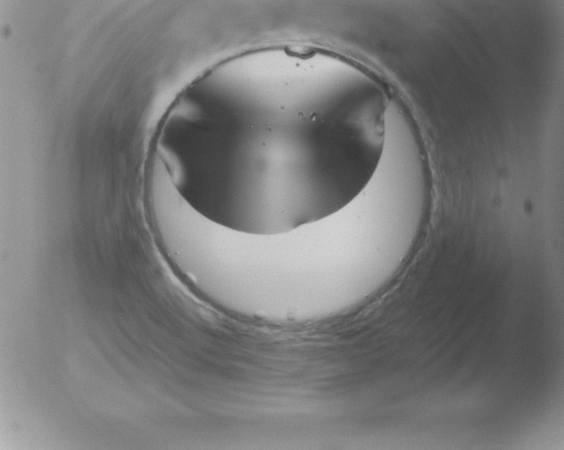 X0000051911512200507082016