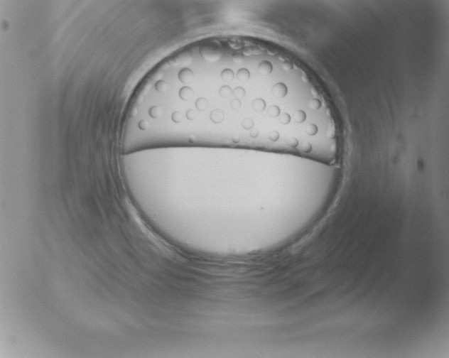 X0000051911513200507082016