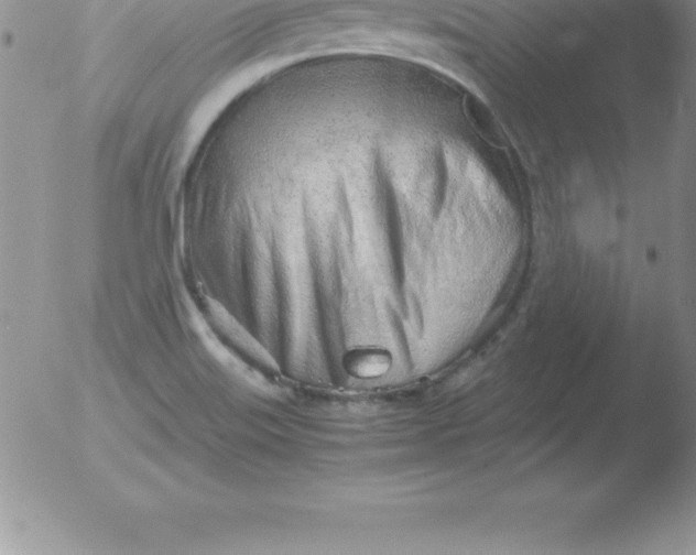 X0000051911515200507082016