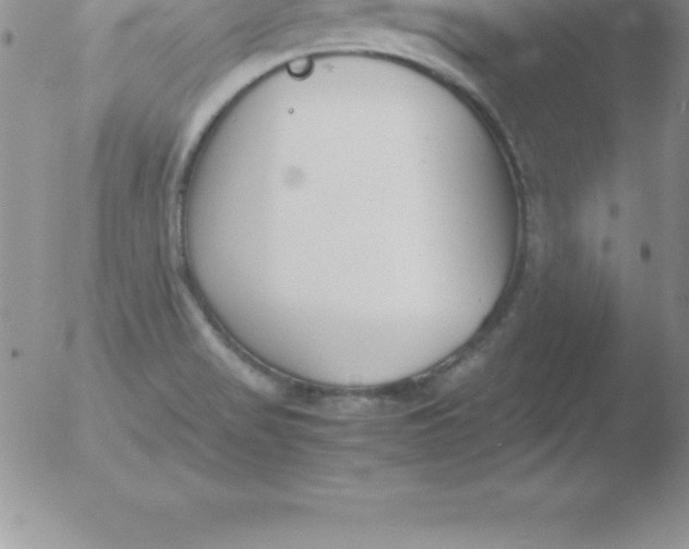 X0000051911517200507082016