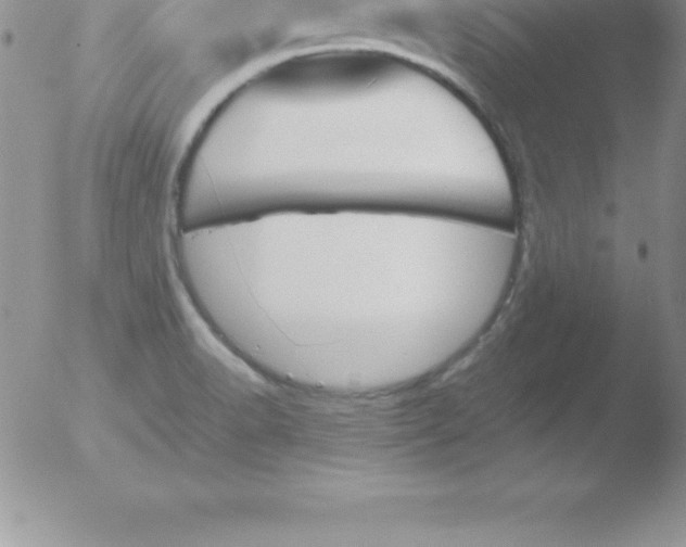 X0000051911518200507082016