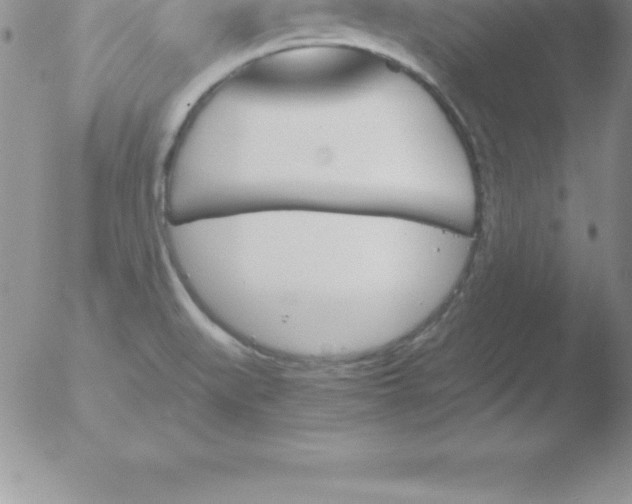 X0000051911519200507082016