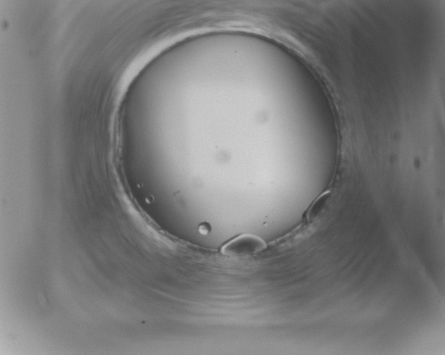 X0000051911520200507082016