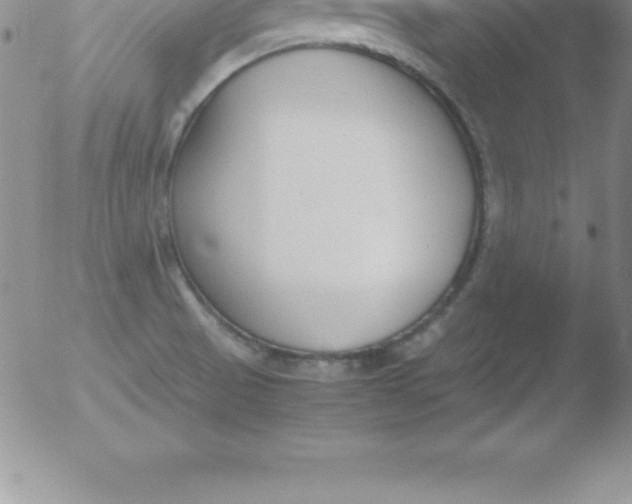 X0000051911521200507082016