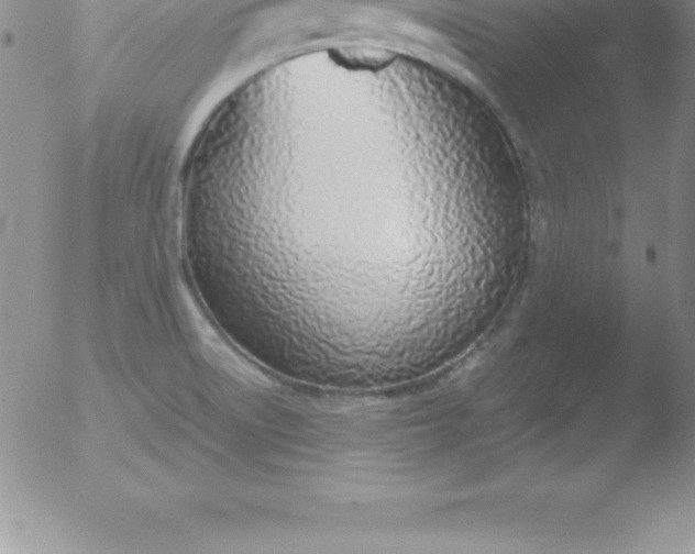 X0000051911522200507082016