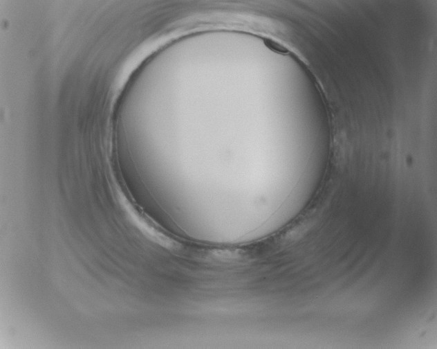 X0000051911523200507082016