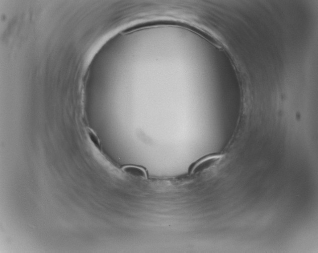 X0000051911524200507082016