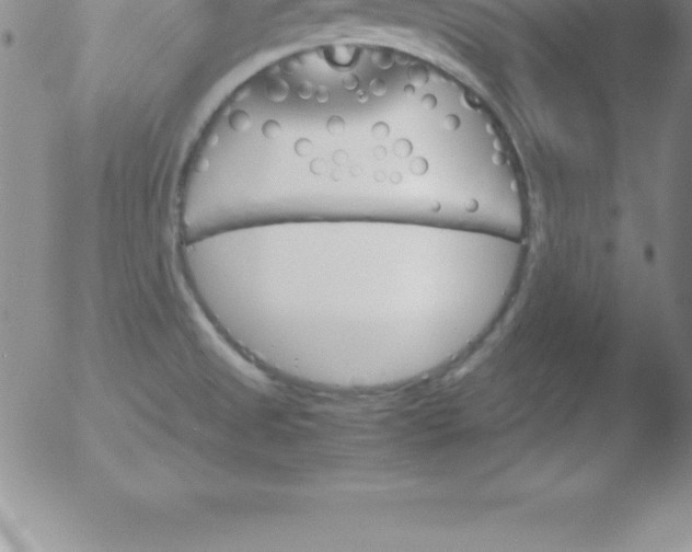 X0000051911525200507082016