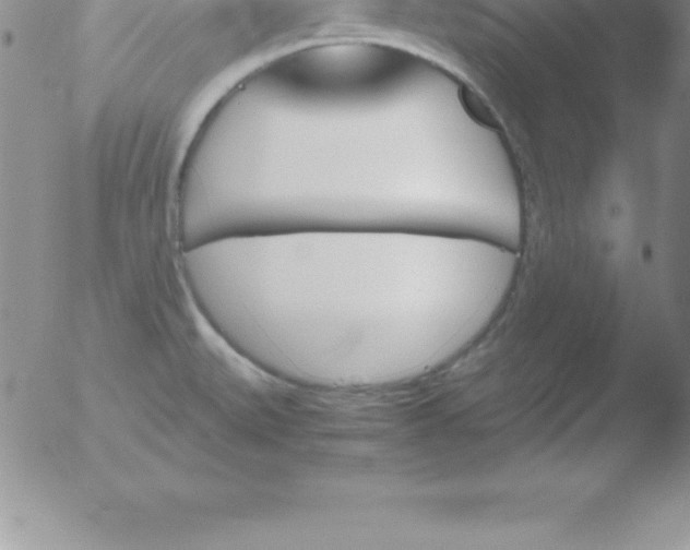 X0000051911527200507082016