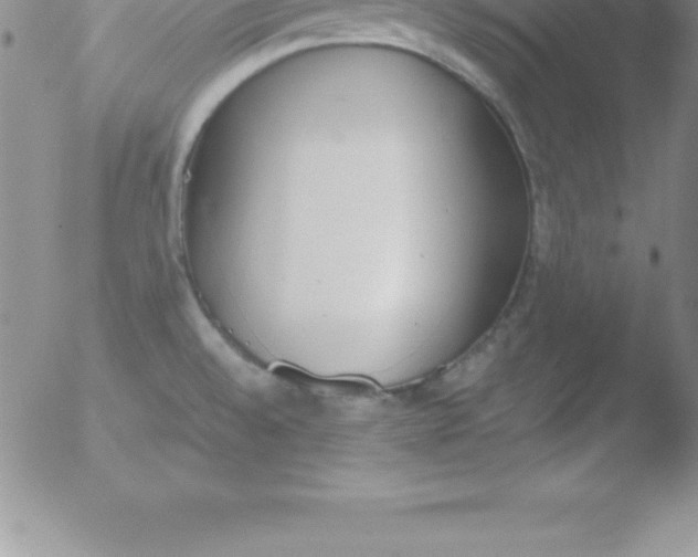 X0000051911528200507082016