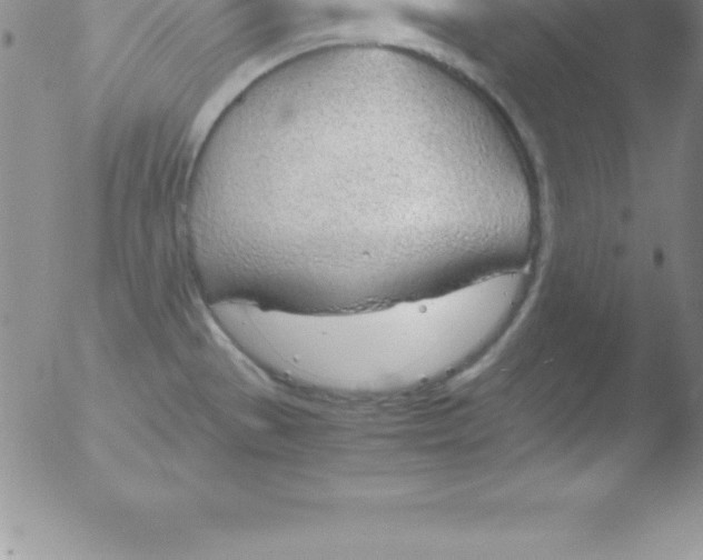 X0000051911529200507082016