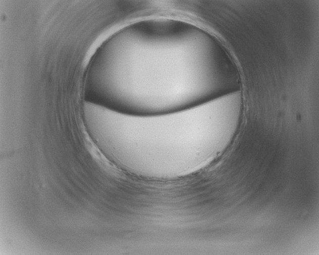 X0000051911530200507082017