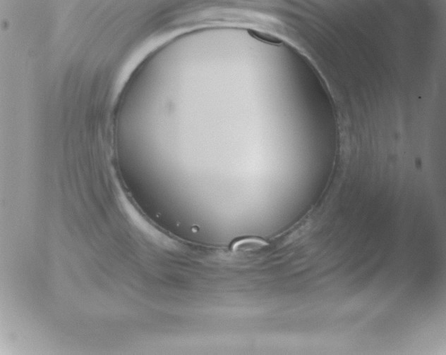 X0000051911531200507082017