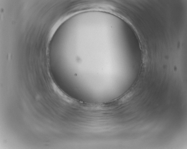 X0000051911532200507082017