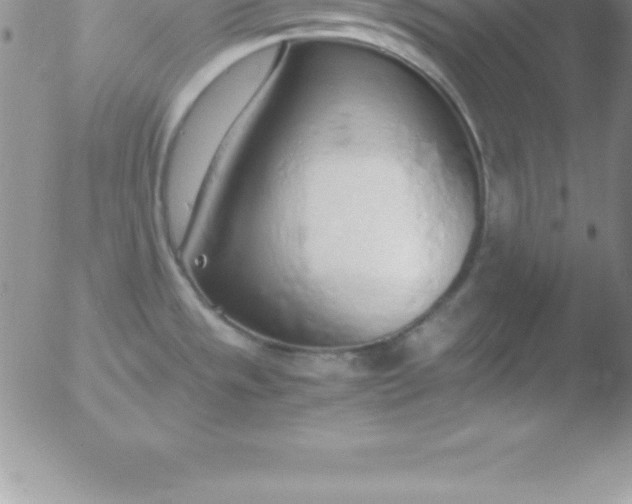 X0000051911533200507082017