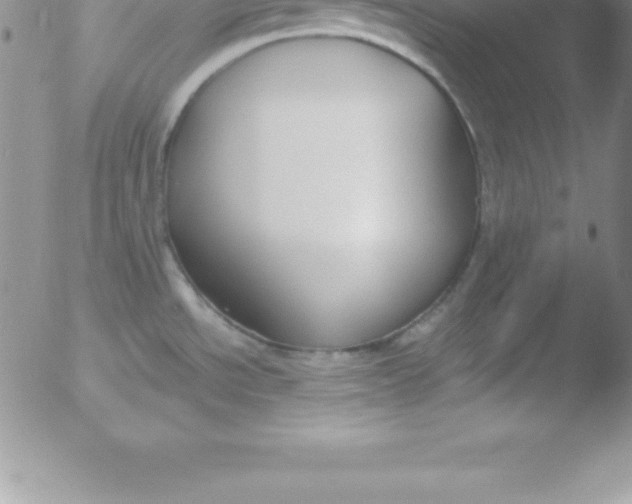 X0000051911534200507082017