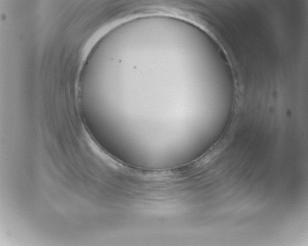 X0000051911535200507082017